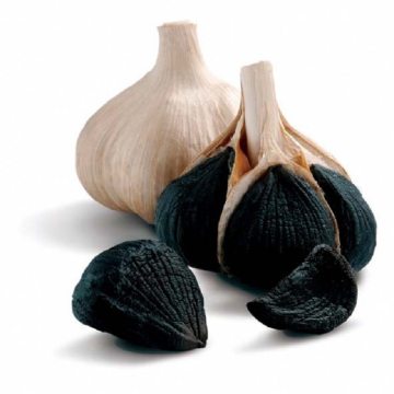 2020 new first quality chinese black garlic